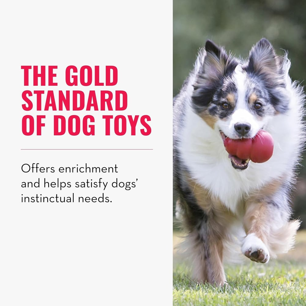 toys for huskies