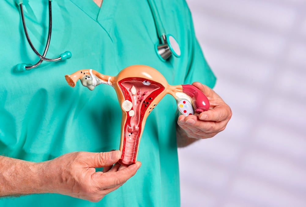 General Gynecology Fees in Dubai