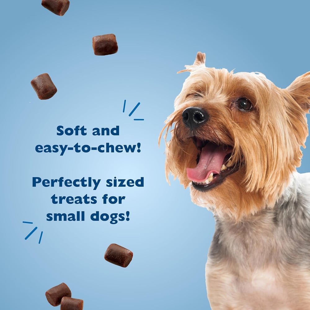 treats for dog training