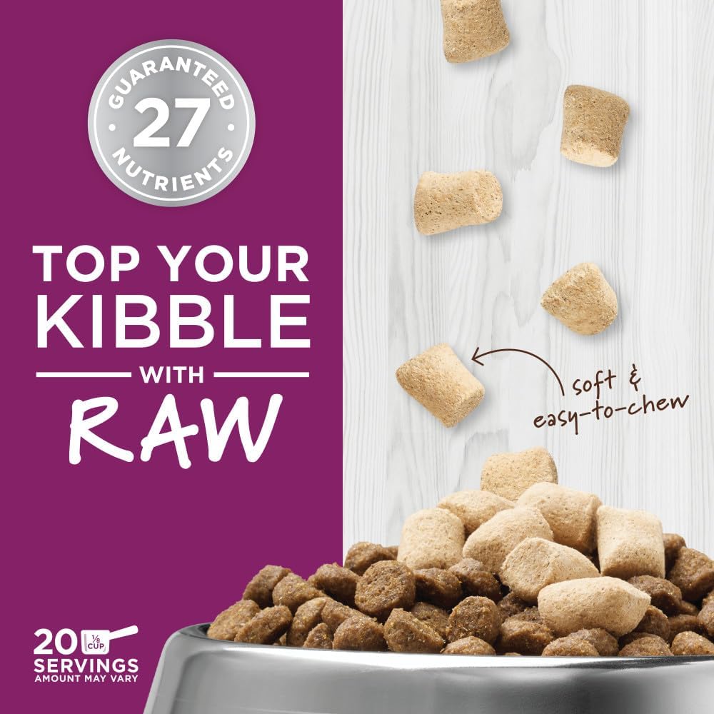 maine coon cat food