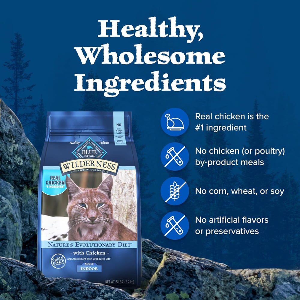 maine coon cat food