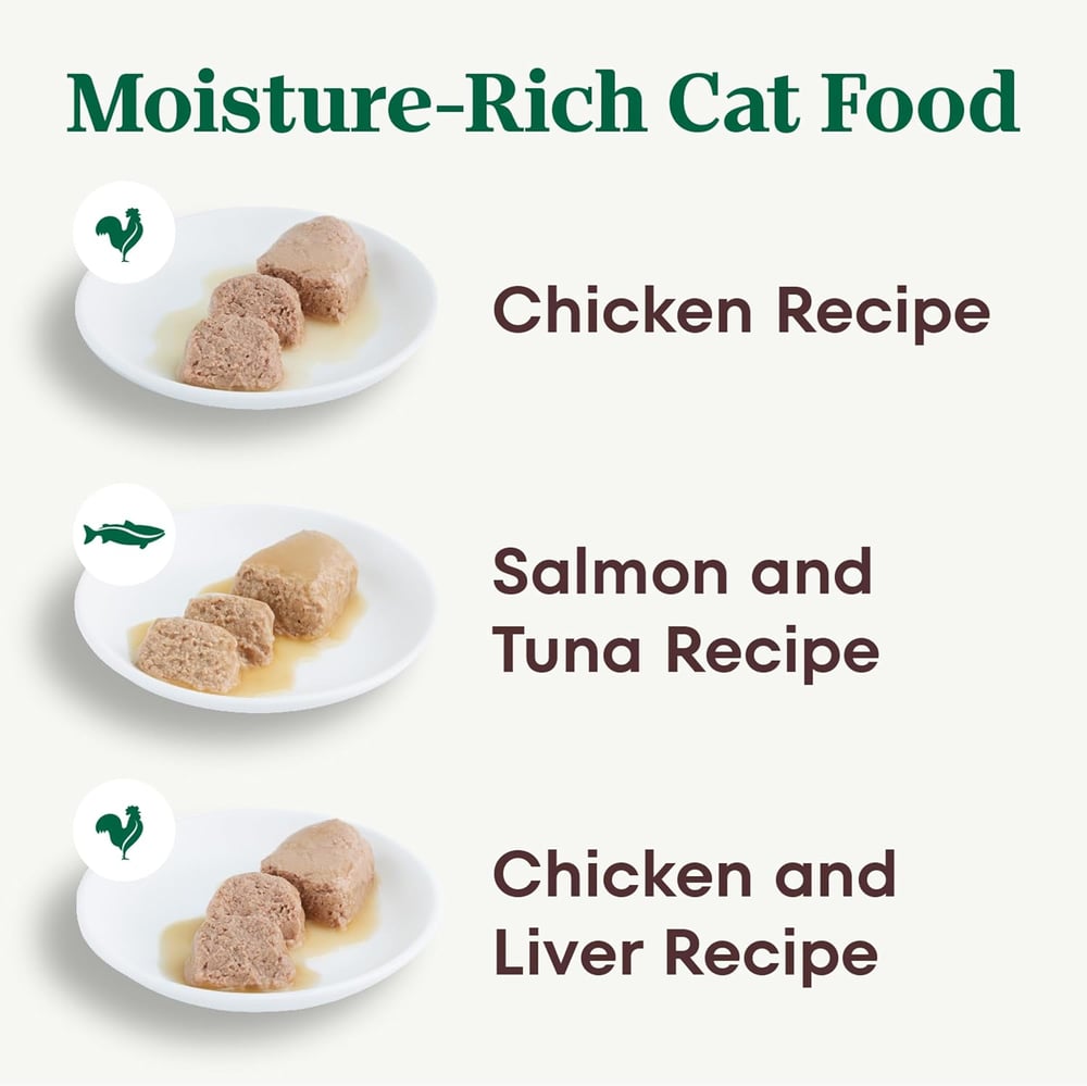 maine coon cat food