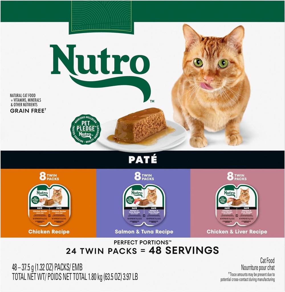 A Maine Coon cat is eyeing a plate with pâté-style cat food. Below are three types of Nutro pâté wet Maine Coon cat food: Chicken Recipe, Salmon &amp; Tuna Recipe, and Chicken &amp; Liver Recipe in 8 twin packs (24 packs total).