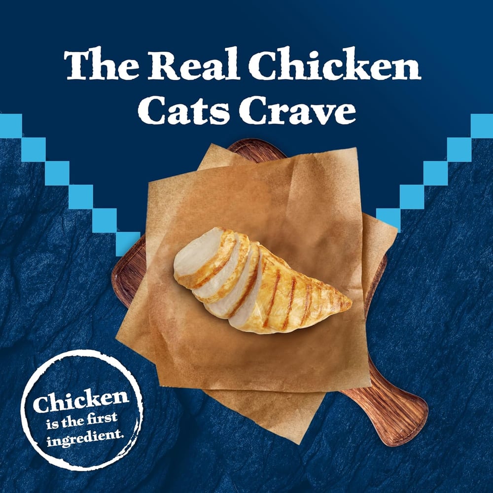 maine coon cat food