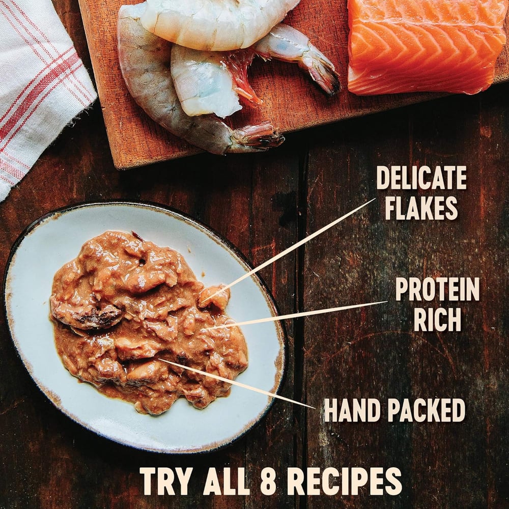 maine coon cat food