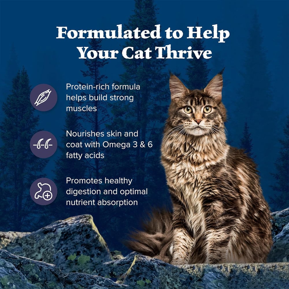 maine coon cat food