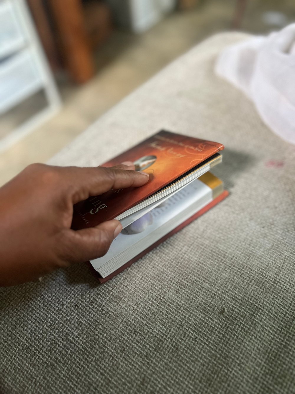 Flor puesta dentro de un libro. Para secarce.