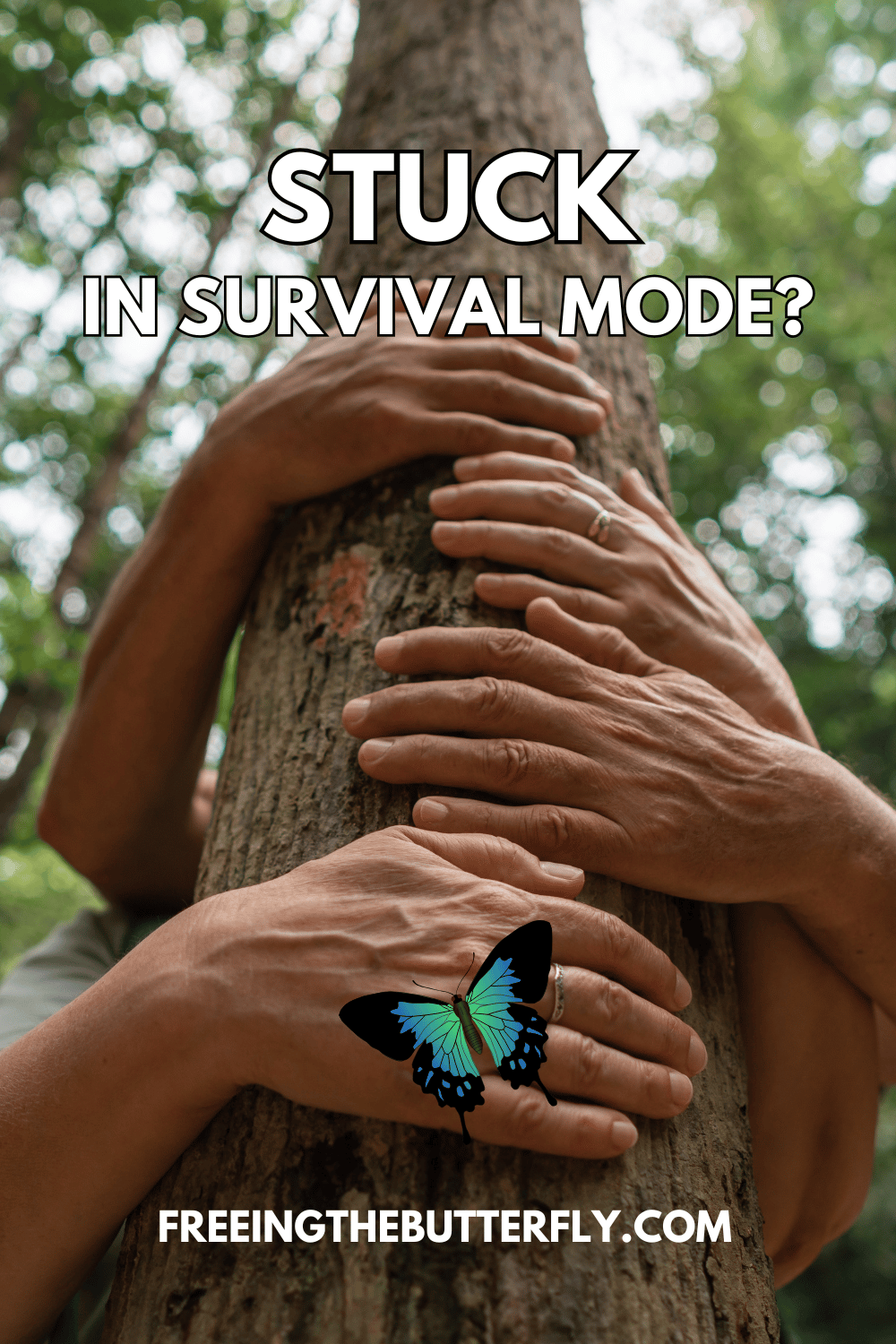 Reconnecting with Yourself When You've Been Stuck in Survival Mode