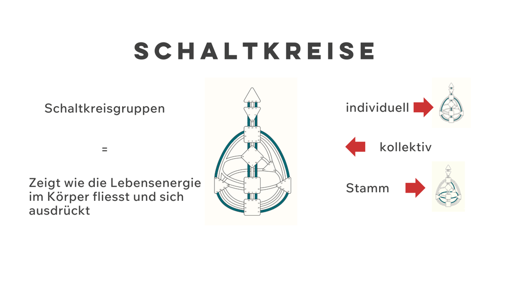 die Schaltkreise im Human Design