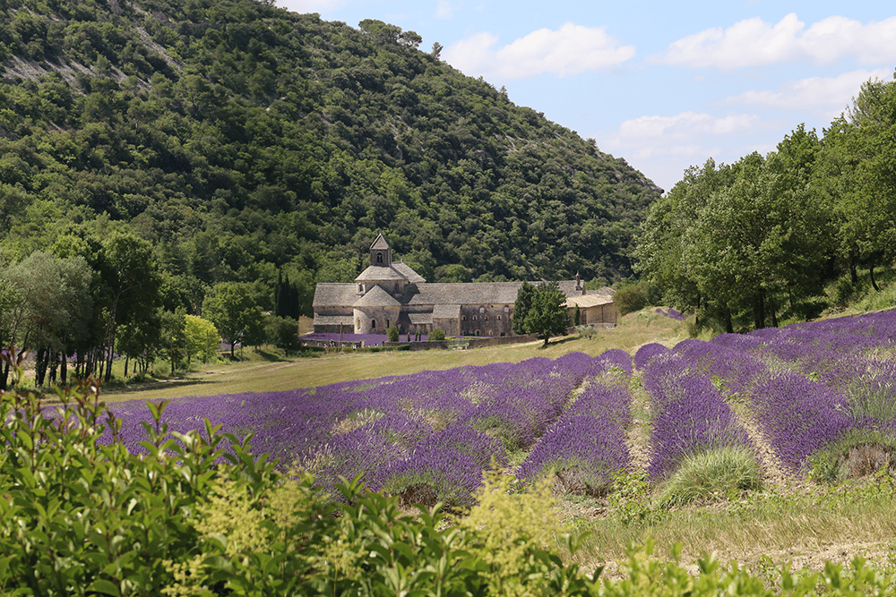 Senanque Abbey