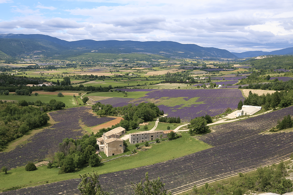 Provencal Country Landscape