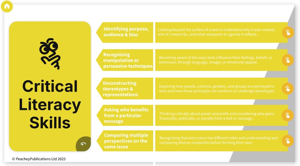 critical literacy skills