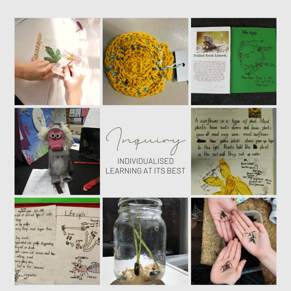 Individualised Inquiry Learning collage