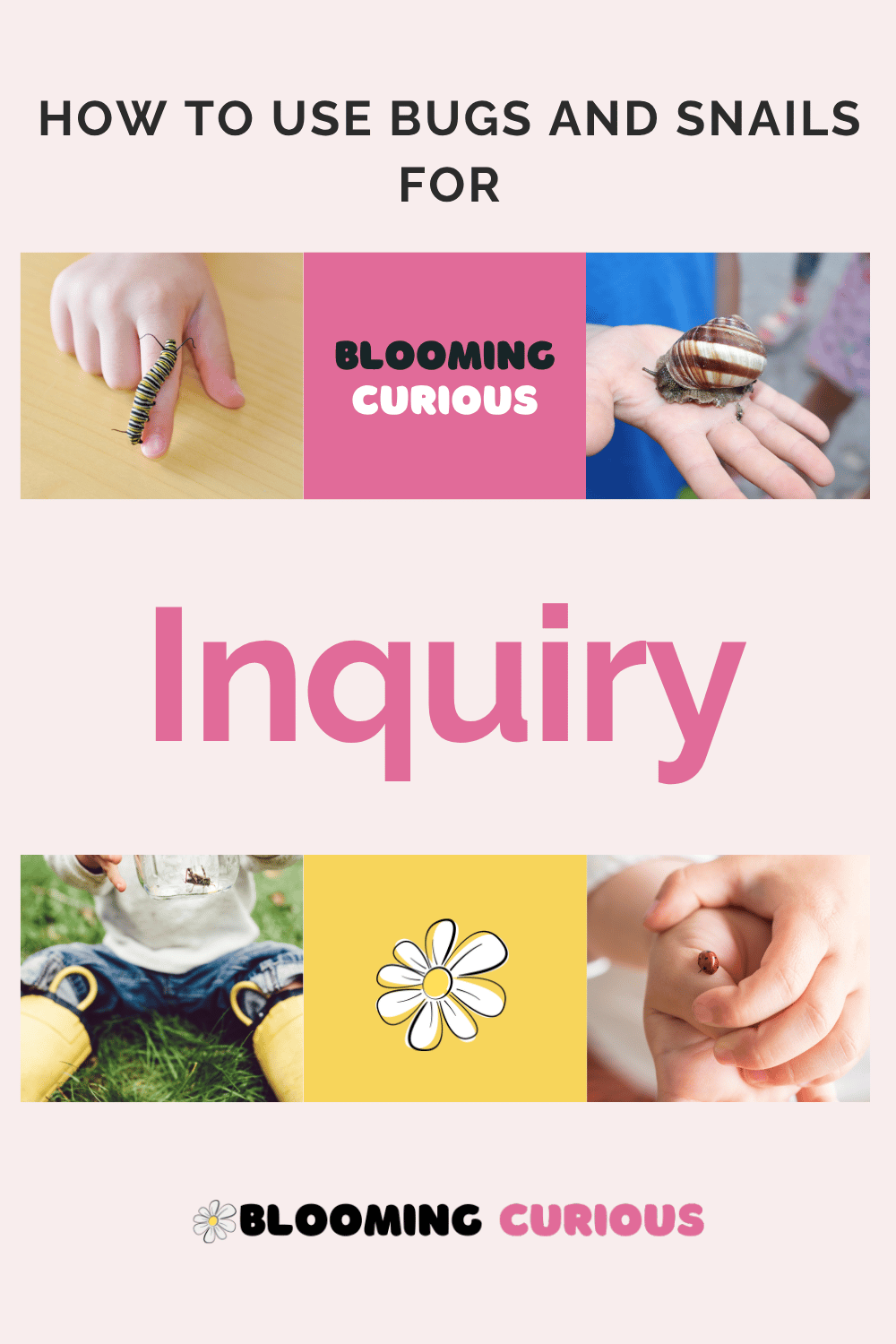 How to use bugs and snails for inquiry