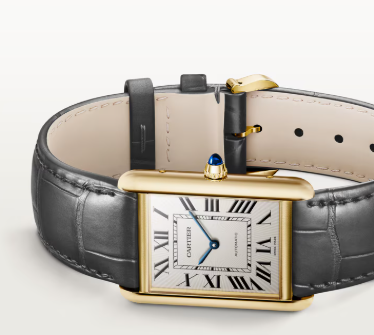 luxury watch
