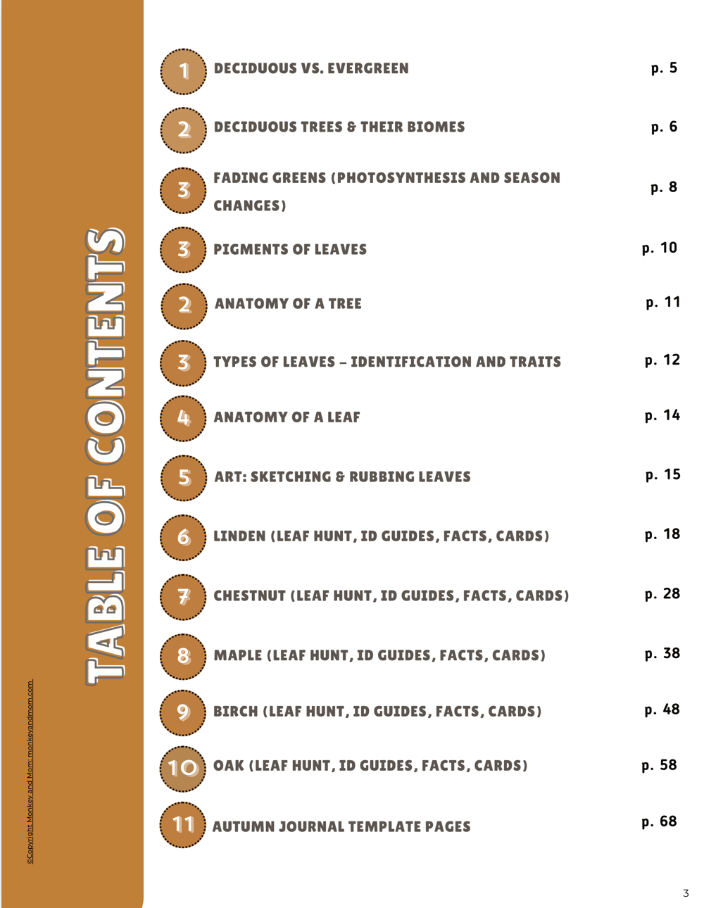 deciduous trees for kids unit study