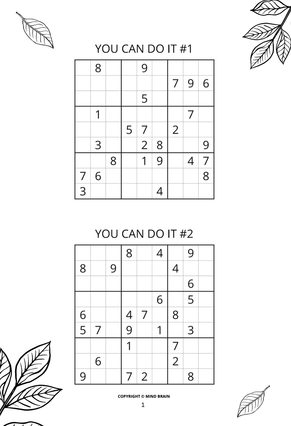Sudoku for Beginners Mind Brain