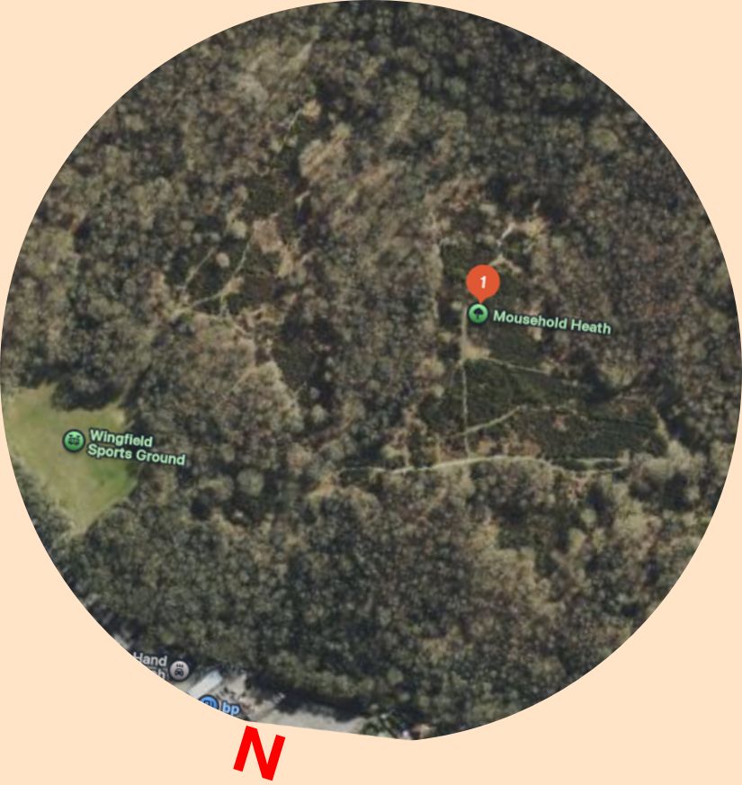 A satellite view map of Mousehold Heath, with Wingfield Sports Ground visible, and a red N denoting which direction is North. The view shows a variety of woodland, heath, and grass.