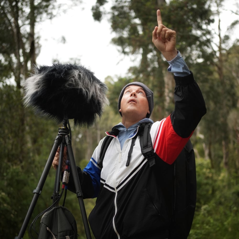 Cockatoos Screaming In Windy Forest ORTF 3D