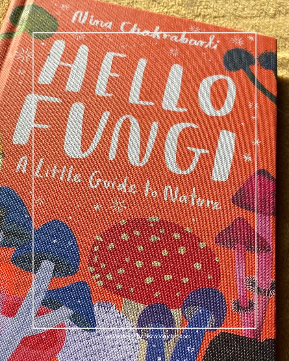 Hello Fungi Book