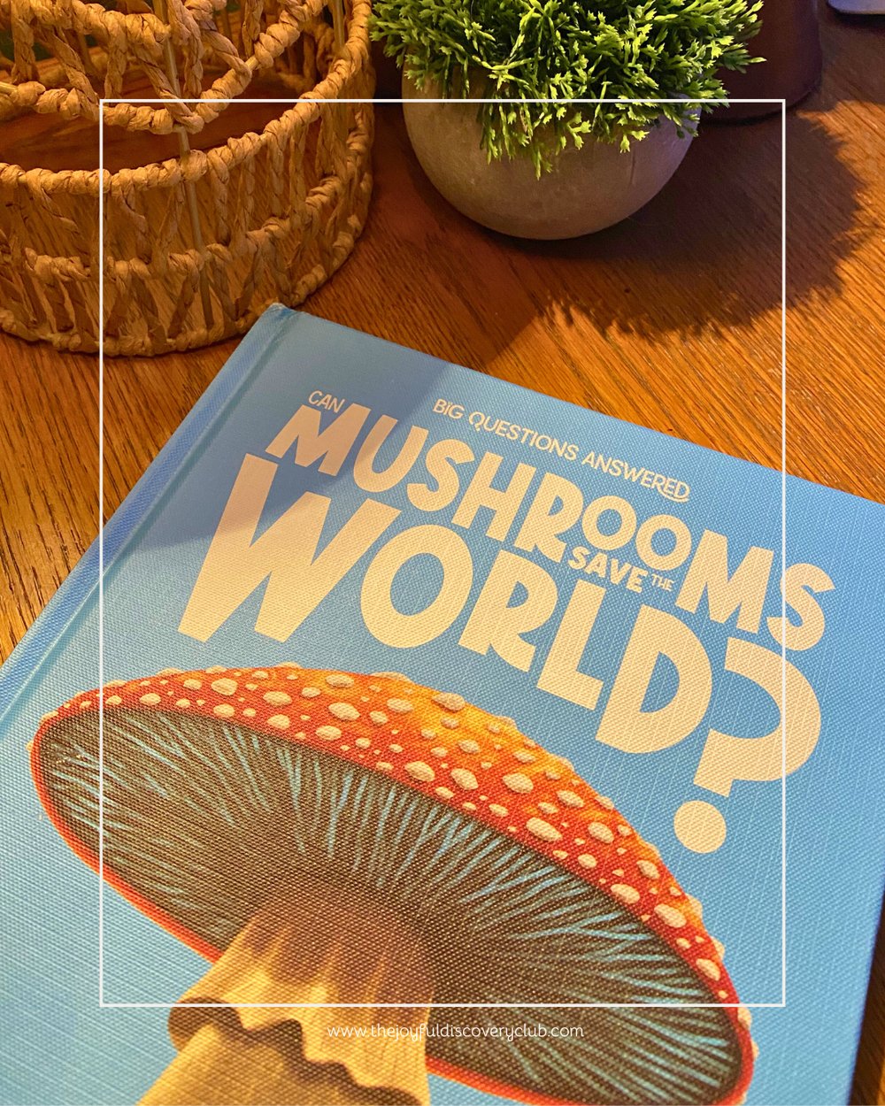 Can Mushrooms Save The World