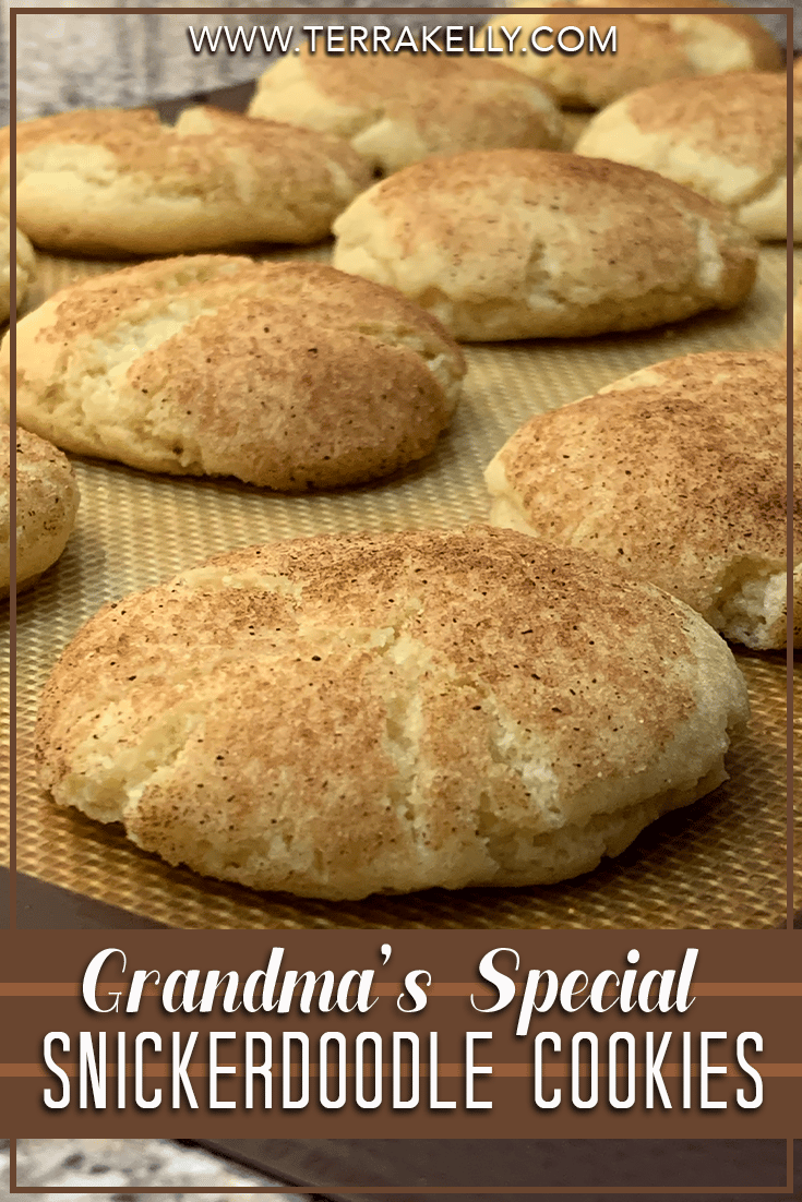 Grandma's Snickerdoodle Recipe