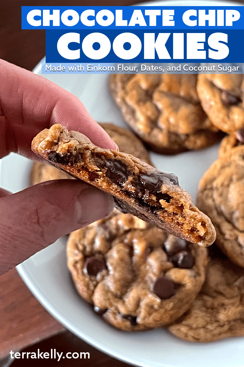 Chocolate Chip Cookies Recipe by Terra Kelly 2