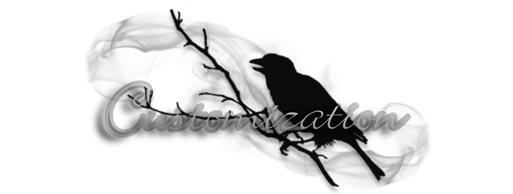 CUSTOMIZATIONS