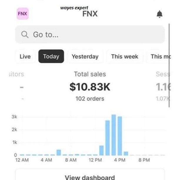 student sales dashboard from selling digital products