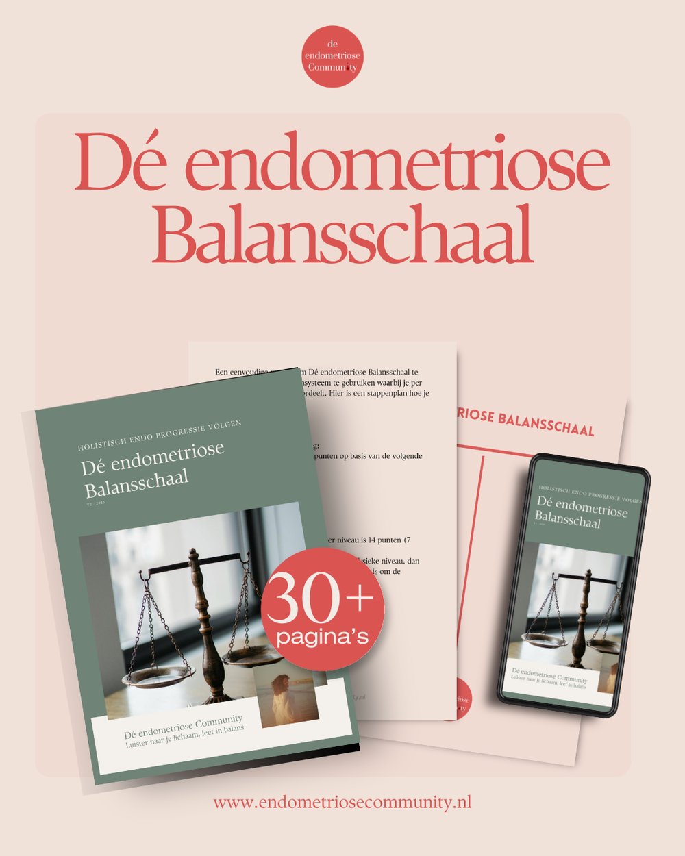 Voorbeeldpagina uit Dé endometriose Balansschaal
