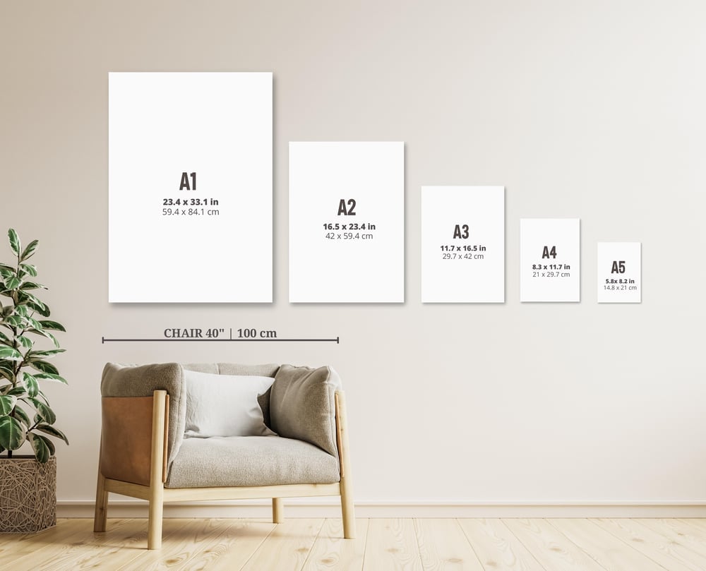 A size proportion chart on a wall