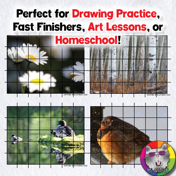 Grid Drawing Art Lessons Art Projects Drawing Activities Middle School Artworks – image 4