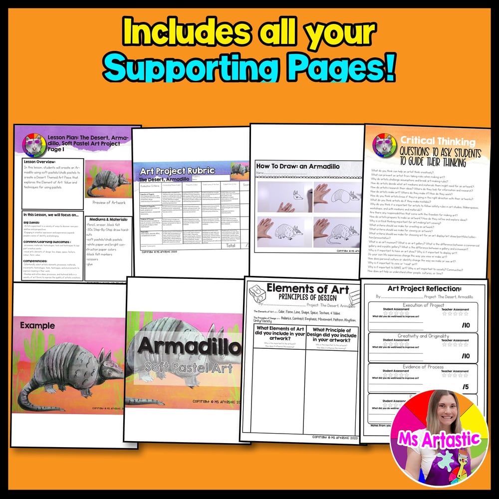 Summer Art Lesson Desert Art Activity Armadillo Art Project Soft Pastels – image 3