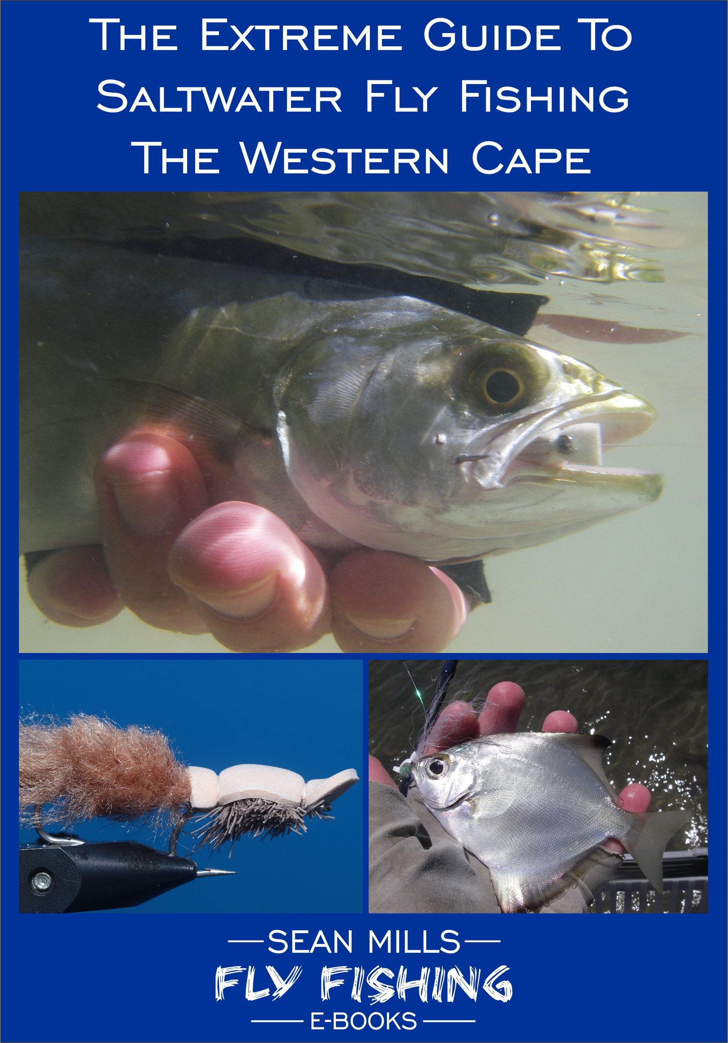 The Extreme Guide To Saltwater Fly Fishing The Western Cape - Payhip