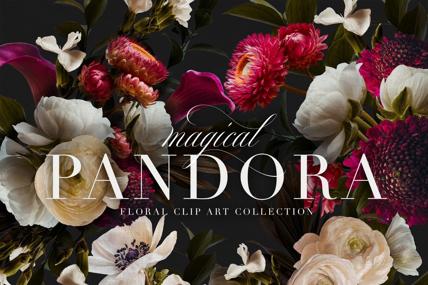 realistic floral graphics in coral, burgundy, white, lavender, and cream. Patterns, bouquets, backgrounds, wreaths, frames
