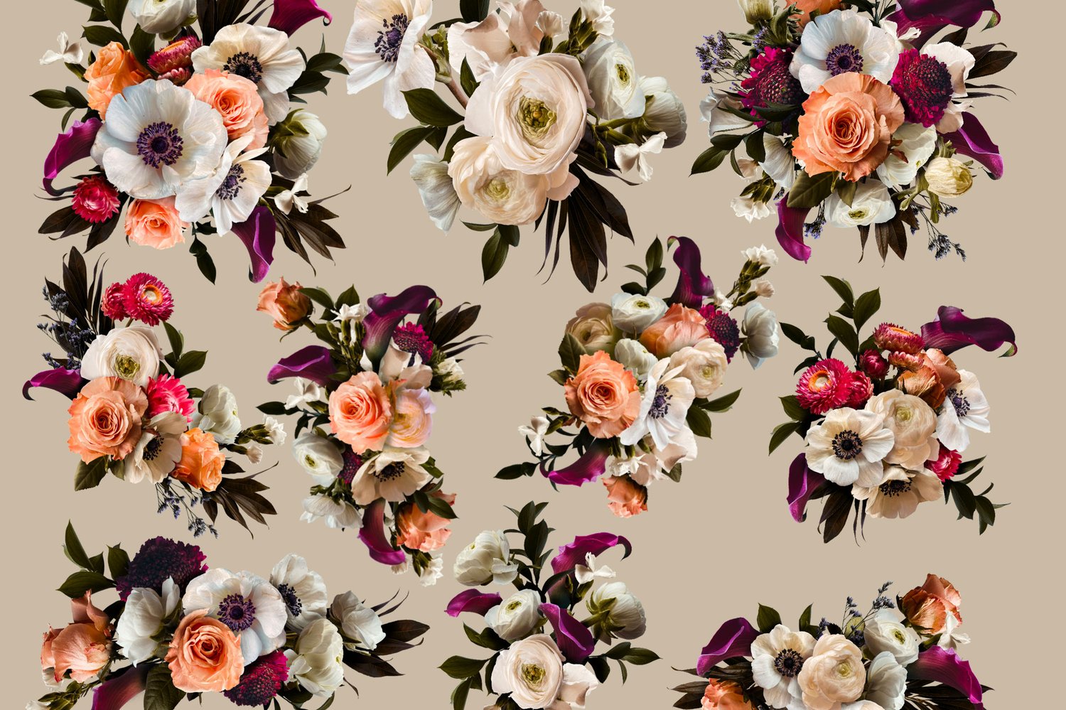 realistic floral graphics in coral, burgundy, white, lavender, and cream. Patterns, bouquets, backgrounds, wreaths, frames