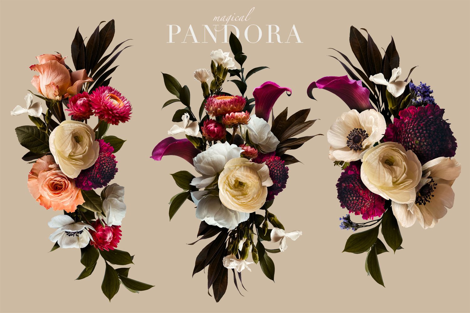 realistic floral graphics in coral, burgundy, white, lavender, and cream. Patterns, bouquets, backgrounds, wreaths, frames