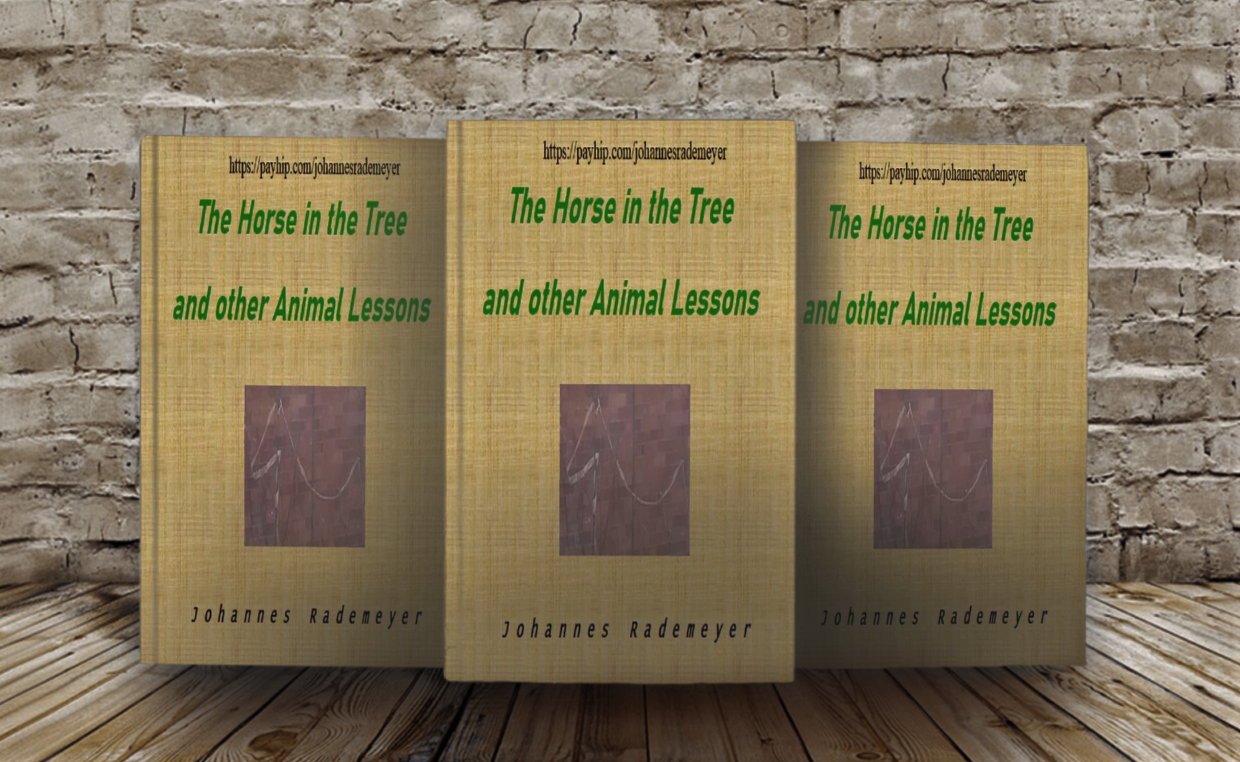 Invitation for reviews https://payhip.com/johannesrademeyer