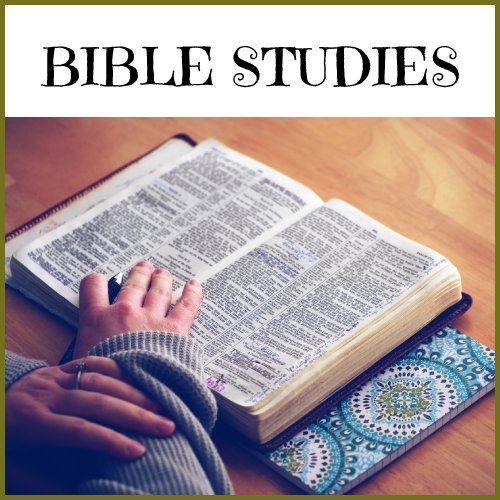 bible studies
