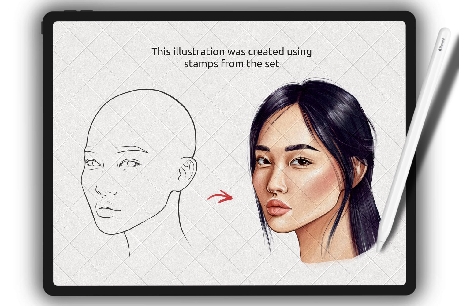 #brushforprocreate #bodystamps #procreatedrawing #figuredrawing #pngfashionman #realisticbody #templatebody #femalebody #womenbody #plussizebody #logobody #procreate