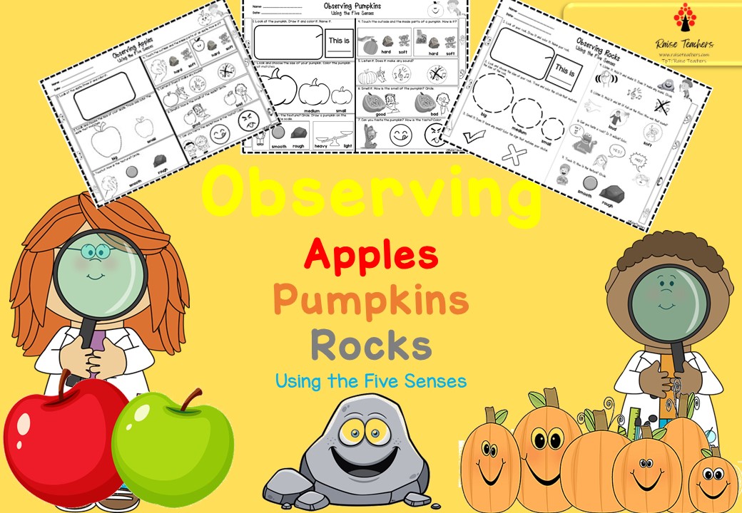 Observing Apples, Pumpkins, Rocks Worksheets for Kindergarten