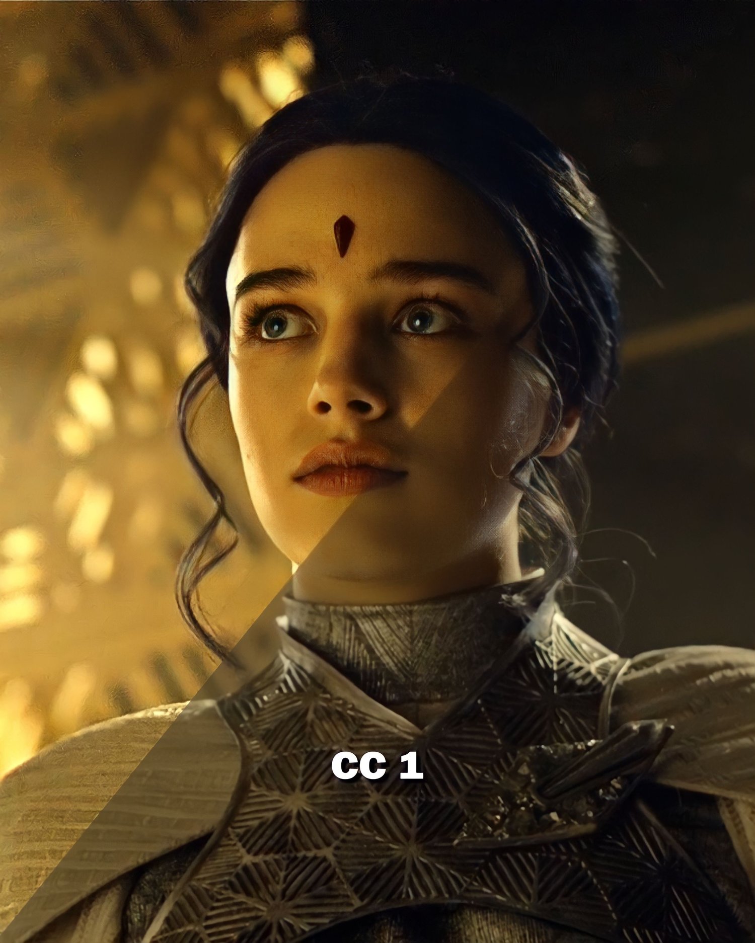 CC 1 - Payhip