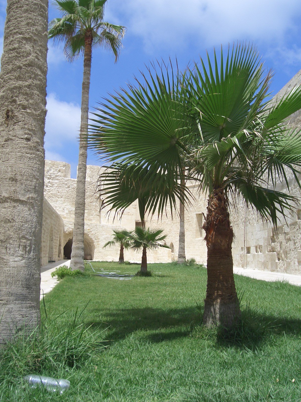 Olympia Panagiotidou,Egypt,Alexandria