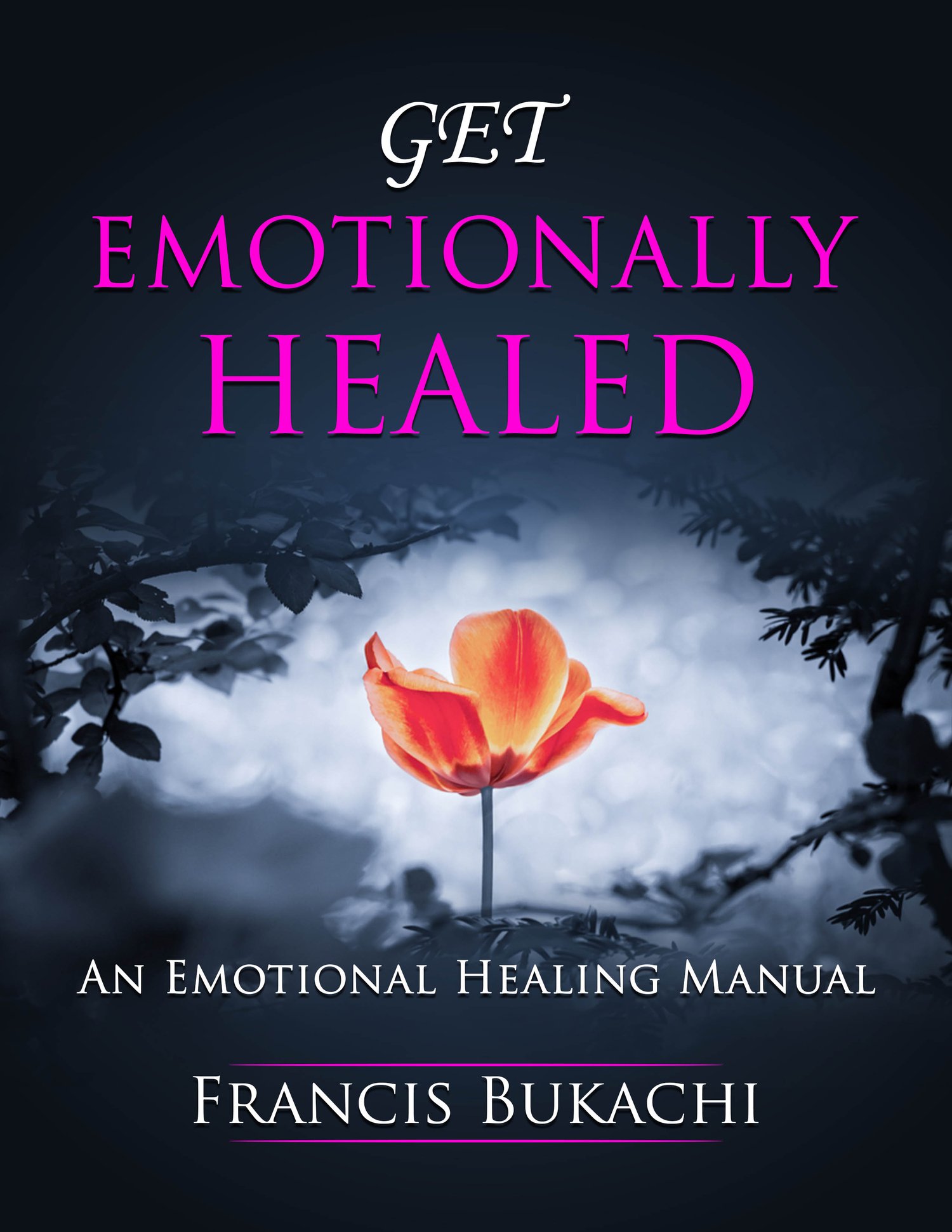 View of Get Emotionally Healed: An Emotional Healing Manual - Payhip