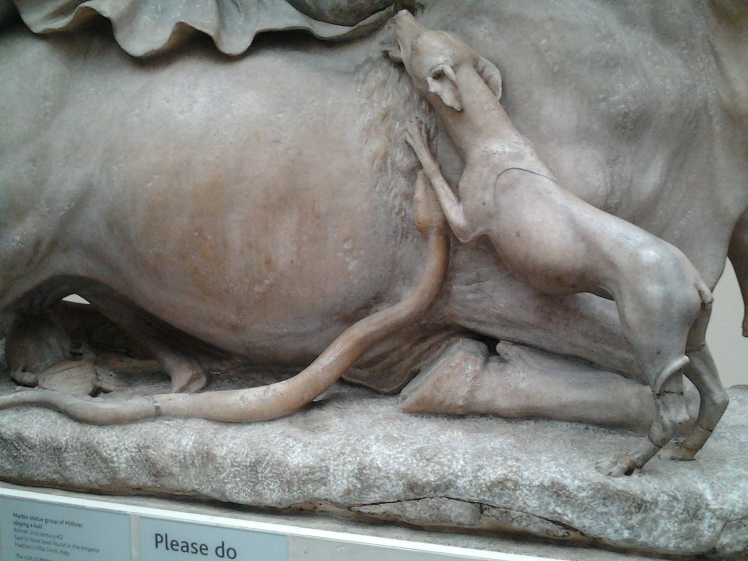 Mithras,tauroctony,mithraism,mithraeum,Mithras killing the bull,British museum