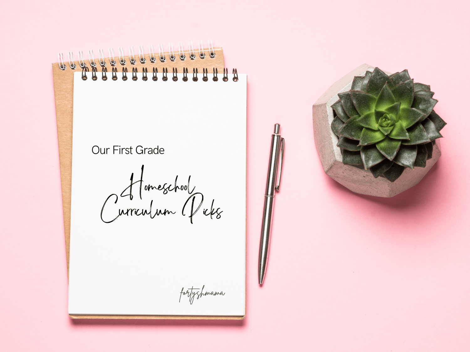 First Grade Homeschool Curriculum Picks | Year 1