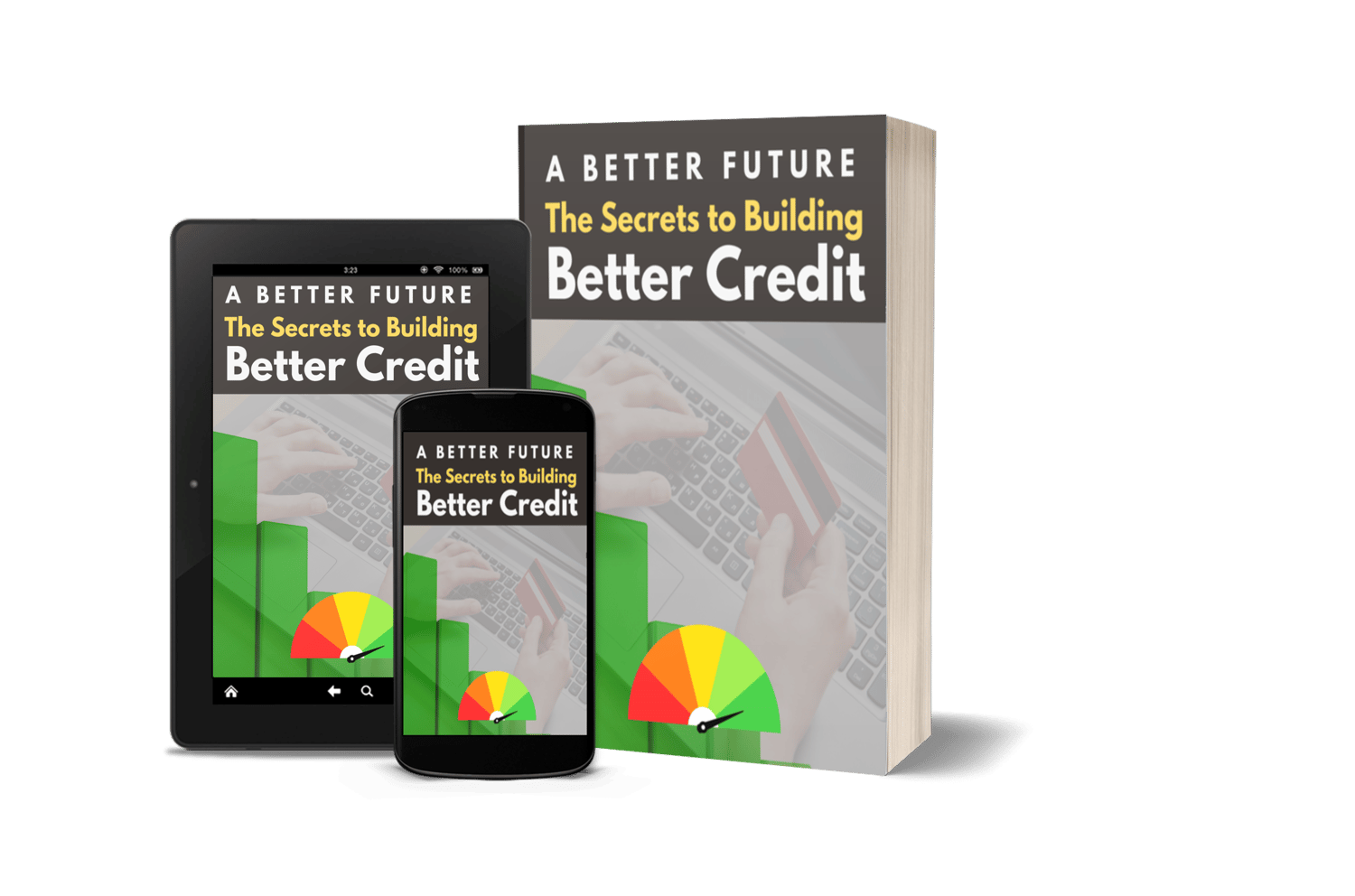 Financial overflow Solutions - Payhip