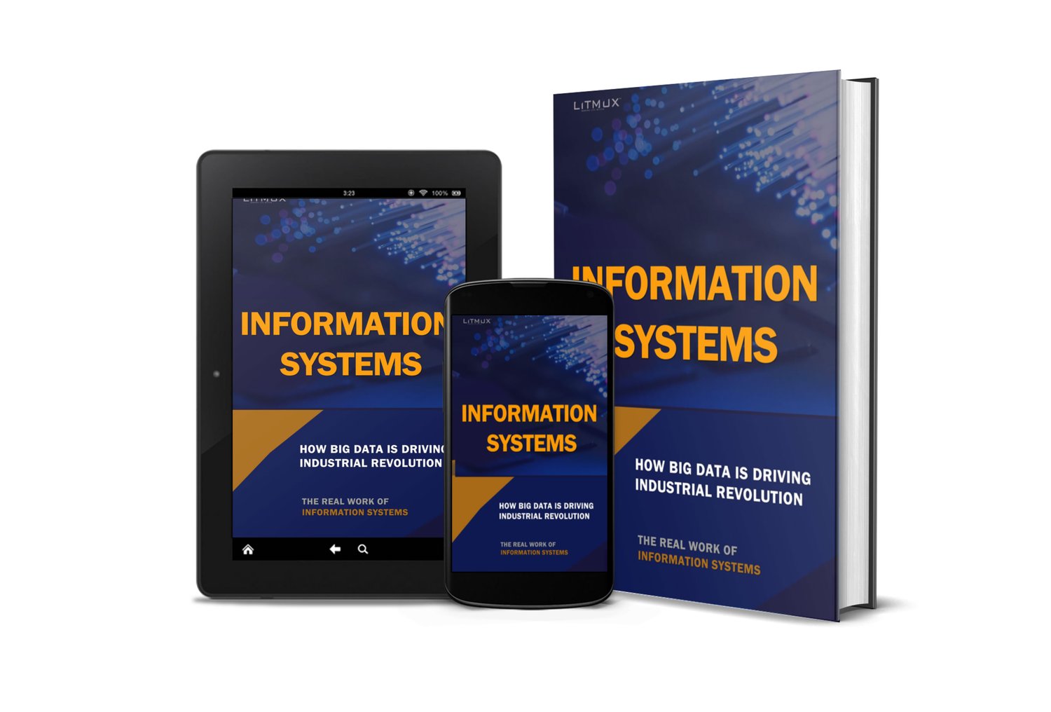 Information Systems Book Litmux