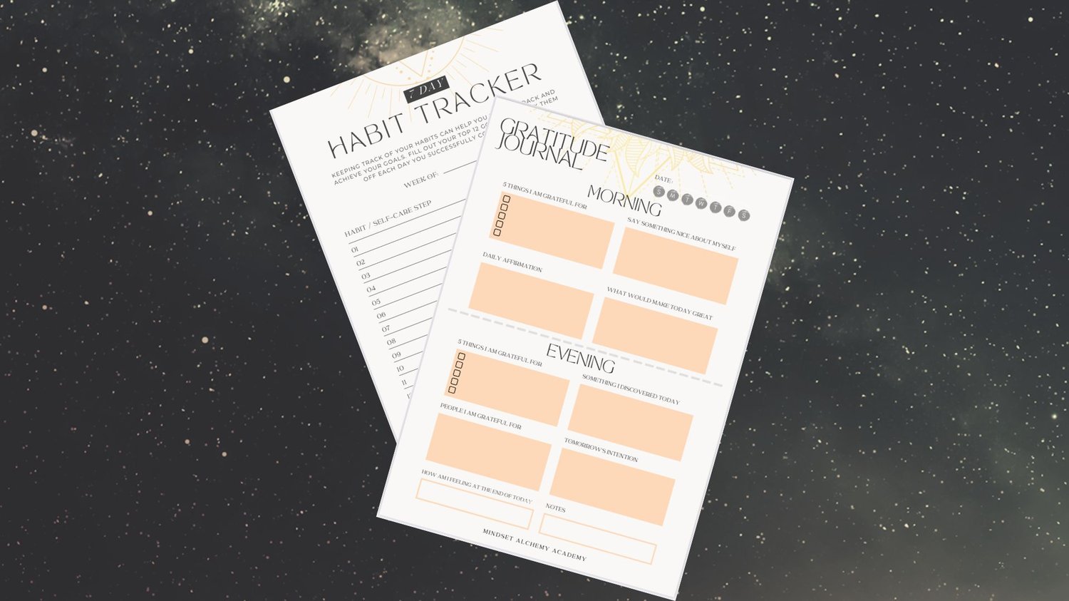 Gratitude Journal and Habit Tracker - Payhip