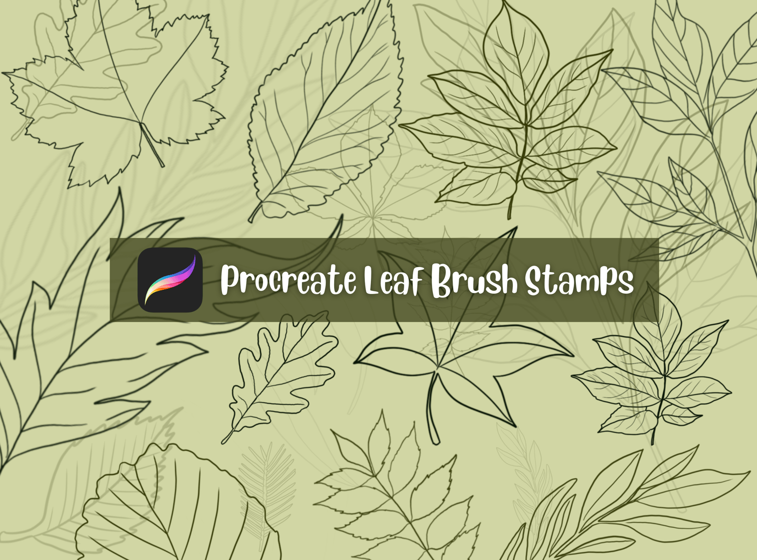 20 Hand-Drawn Procreate Leaf Brush Stamps